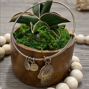 Alex and ani bracelet